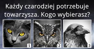 Co jest Twoją magiczną mocą?
