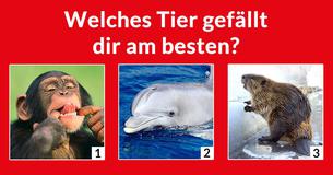 Basierend auf Deinen Stärken wo machst Du Karriere?
