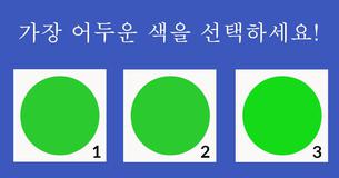 파일럿만이 통과할 수 있는 시각검사!