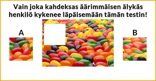 Vain joka kahdeksas äärimmäisen älykäs henkilö kykenee läpäisemään tämän testin!