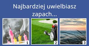 Jesteś powietrzem, wodą, ogniem czy ziemią?