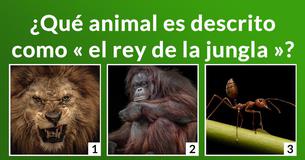 ¿Cuánto sabes de la jungla?