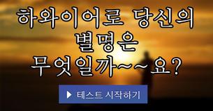 하와이어로 당신의 별명은 무엇일까~~요?