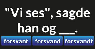 Kan du rette følgende vanskelige sætninger?