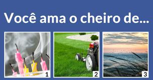Você é ar, água, fogo ou terra?