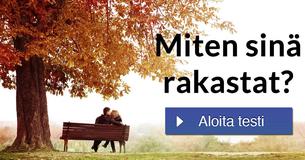 Miten sinä rakastat?