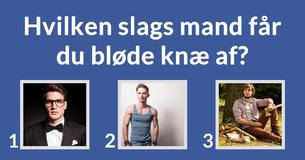 Hvem er den perfekte kendte kæreste for dig?