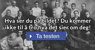 Hva ser du på bildet? Du kommer ikke til å tro hva det sier om deg!