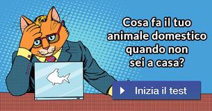 Cosa fa il tuo animale domestico quando non sei a casa?