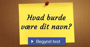 Hvad burde være dit navn?