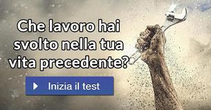 Che lavoro hai svolto nella tua vita precedente?
