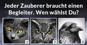 Was ist Deine magische Kraft?
