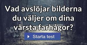 Vad avslöjar bilderna du väljer om dina värsta farhågor?
