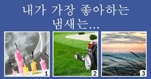 사원소 중 (공기, 물, 불, 흙) 나는 어디에 속할까?