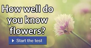 How well do you know flowers?