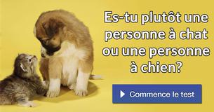 Es-tu plutôt une personne à chat ou une personne à chien?