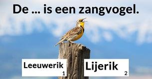 Kun jij de volgende lastige zinnen corrigeren? 