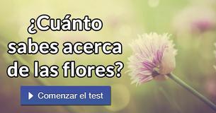 ¿Cuánto sabes acerca de las flores?