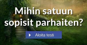 Mihin satuun sopisit parhaiten?