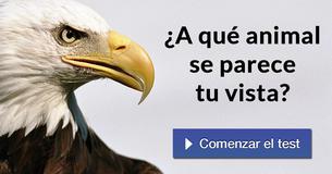 ¿A qué animal se parece tu vista?