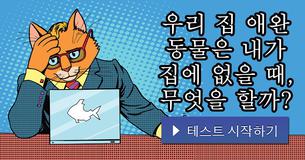 우리 집 애완 동물은 내가 집에 없을 때, 무엇을 할까?
