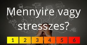 Mennyire vagy stresszes?