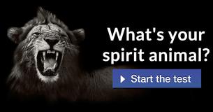 What's your spirit animal?