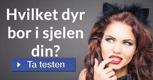 Hvilket dyr bor i sjelen din?