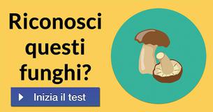 Riconosci questi funghi? 