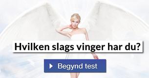 Hvilken slags vinger har du?