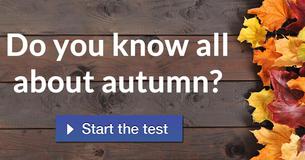 Do you know all about autumn?