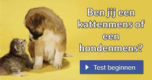 Ben jij een kattenmens of een hondenmens?