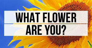 What Flower Are You?
