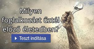 Milyen foglalkozást űztél előző életedben? 