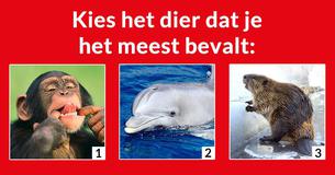 Waar zul jij  carrière maken op basis van je sterke punten?
