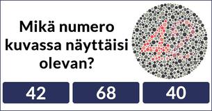 Näetkö oikeasti niin hyvin kuin luulet?