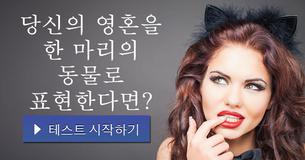 당신의 영혼을 한 마리의 동물로 표현한다면?