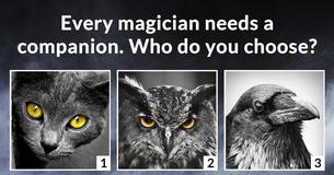 What is your magic power?