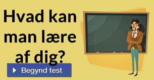 Hvad kan man lære af dig?