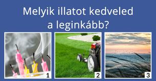 Milyen típus vagy, levegő, víz, tűz vagy föld?