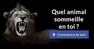 Quel animal sommeille en toi ?