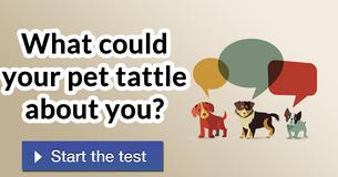 What could your pet tattle about you? 