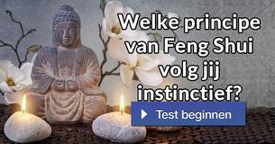 Welke principe van Feng Shui volg jij instinctief?