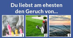 Bist Du Luft, Wasser, Feuer oder Erde? 