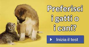 Preferisci i gatti o i cani? 