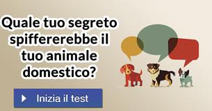 Quale tuo segreto spiffererebbe il tuo animale domestico? 