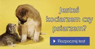 Jesteś kociarzem czy psiarzem?