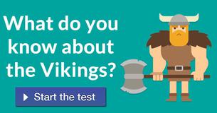 What do you know about the Vikings?