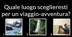 Che specie di orso sei?