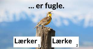 Kan du rette disse svære sætninger?